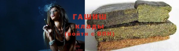 молекула духа Алексин