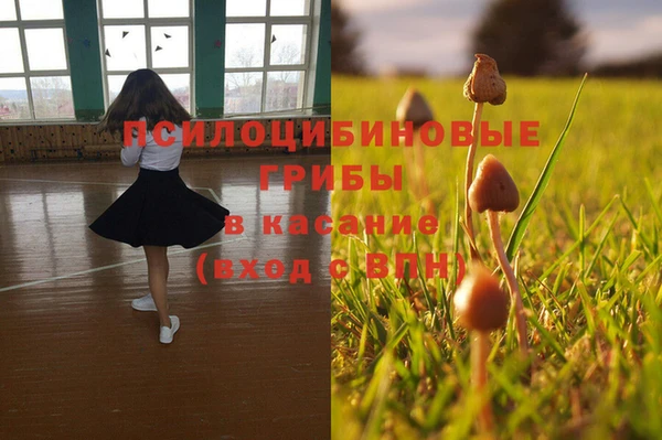 молекула духа Алексин