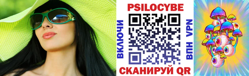Псилоцибиновые грибы Psilocybe  Чайковский 