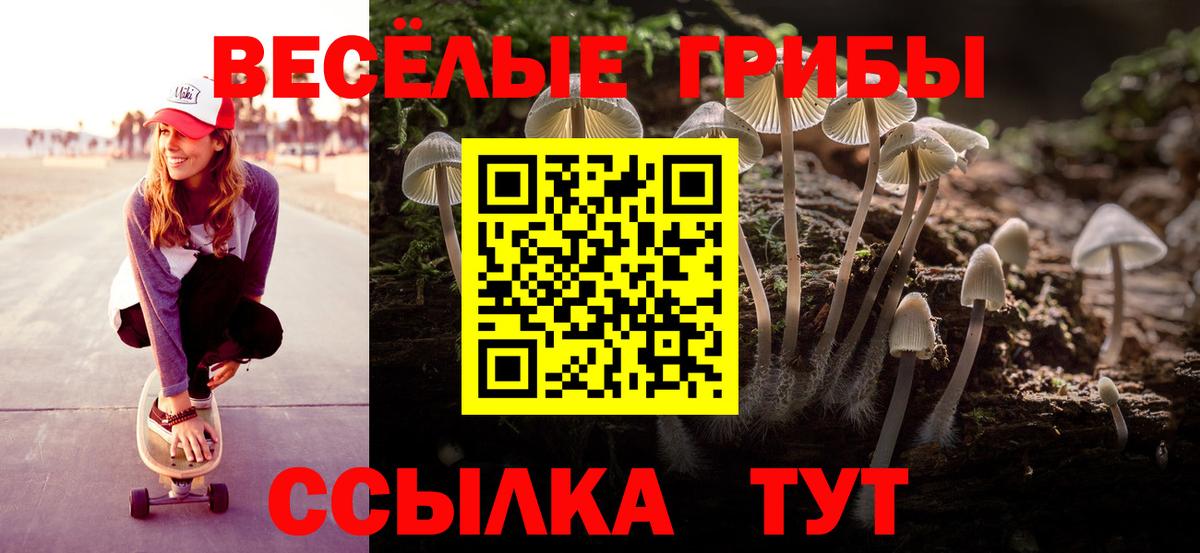 Псилоцибиновые грибы мицелий  Вход с VPN  Чайковский 